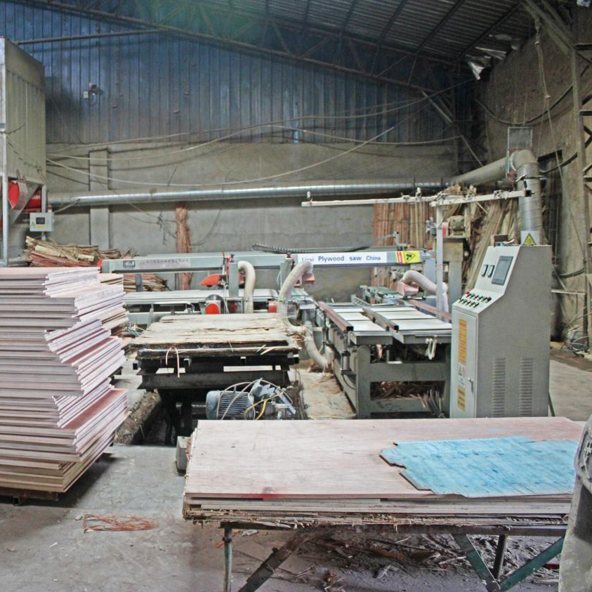 High Quality Commercial Plywood For Furniture (4)